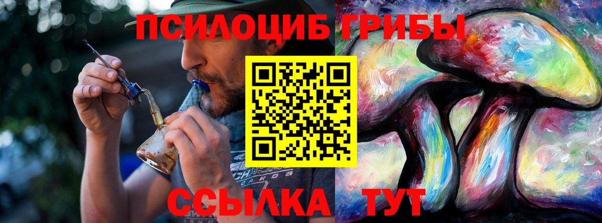 Псилоцибиновые грибы мухоморы Тайшет